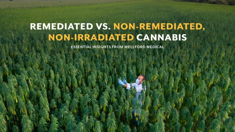 Wellford: Non-Irradiated/Non-Remediated vs Irradiated/Remediated Cannabis