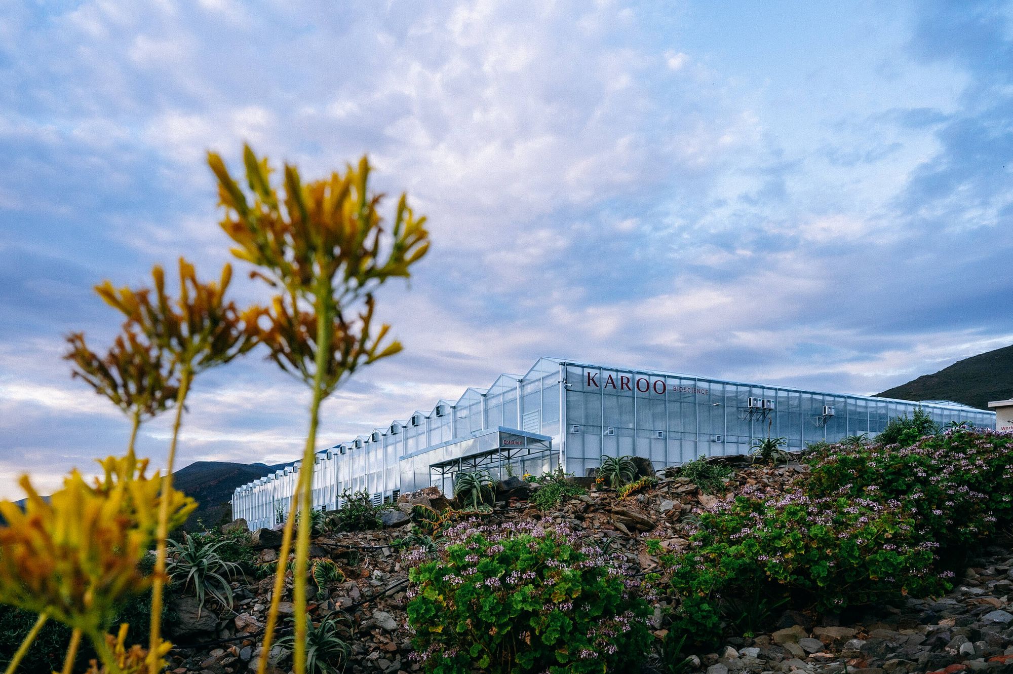 Karoo Bioscience